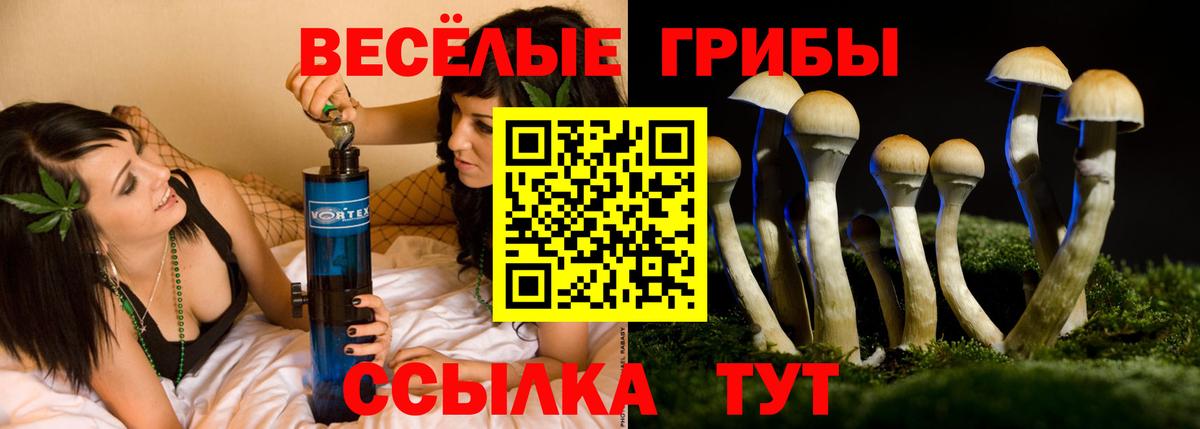 Псилоцибиновые грибы Psilocybe  Вход с VPN  Михайловск  Псилоцибиновые грибы прущие грибы 